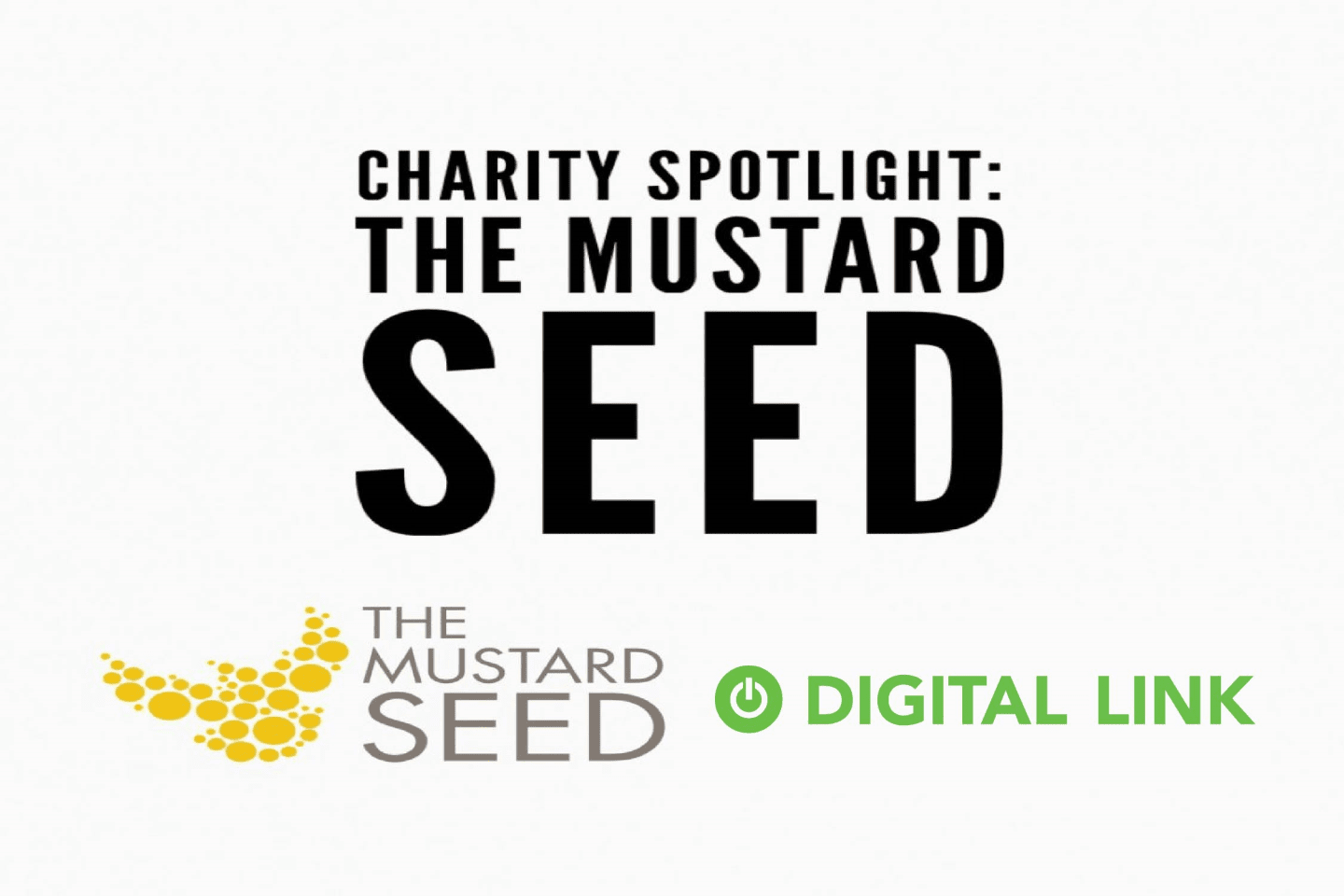 The Mustard Seed Charity Spotlight