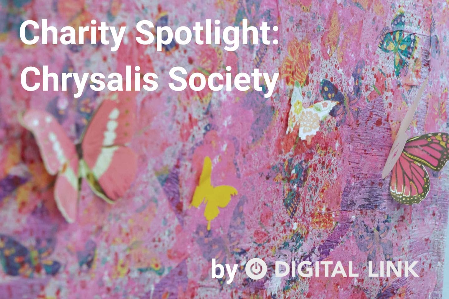 Charity Spotlight on Chrysalis Society